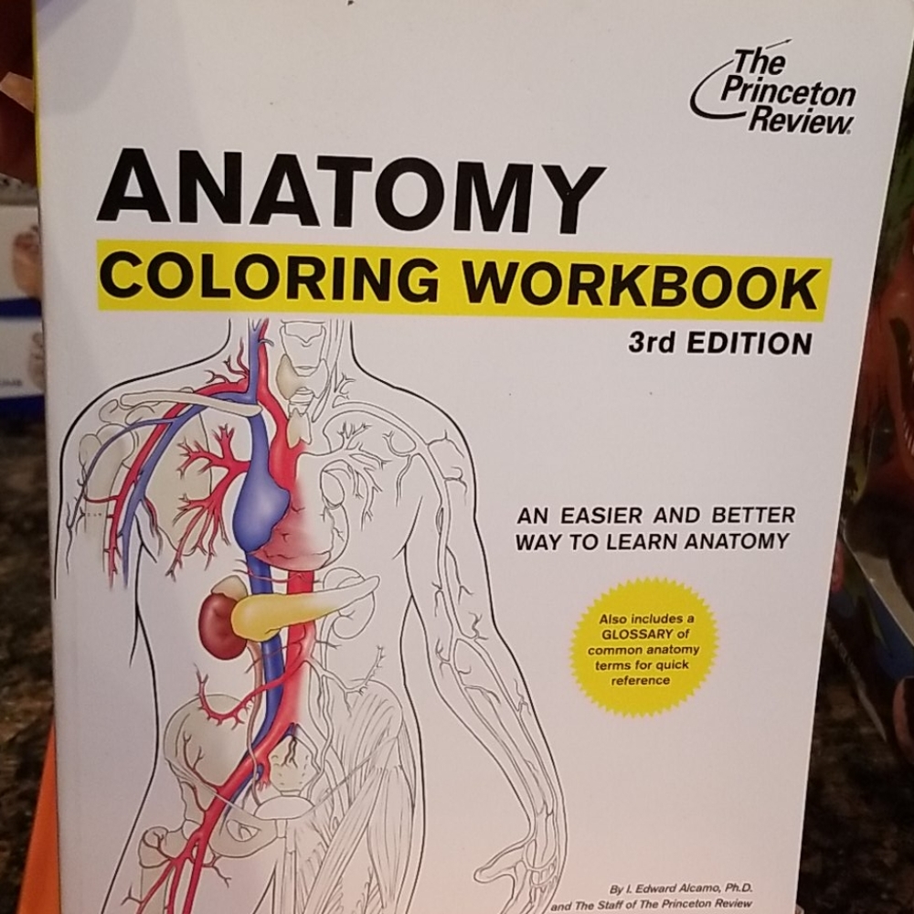 Anatomy coloring book